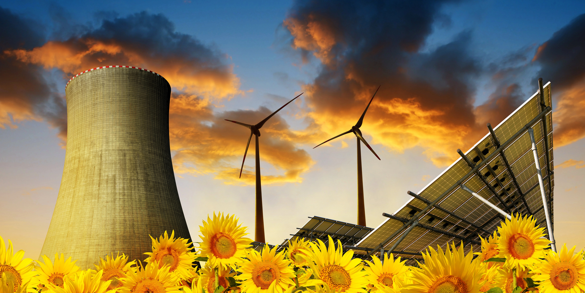 Ddl nucleare, Anima: scelta decisiva per la filiera