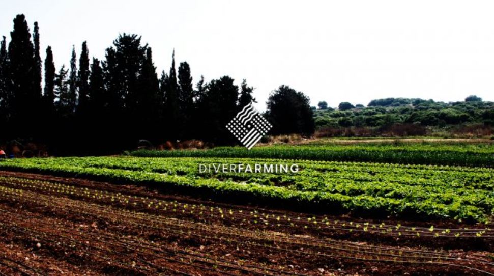 Diverfarming: un’agricoltura più sostenibile e rigenerativa