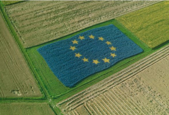 Nuova Politica Agricola Comune: gli eco-schemi della Ce