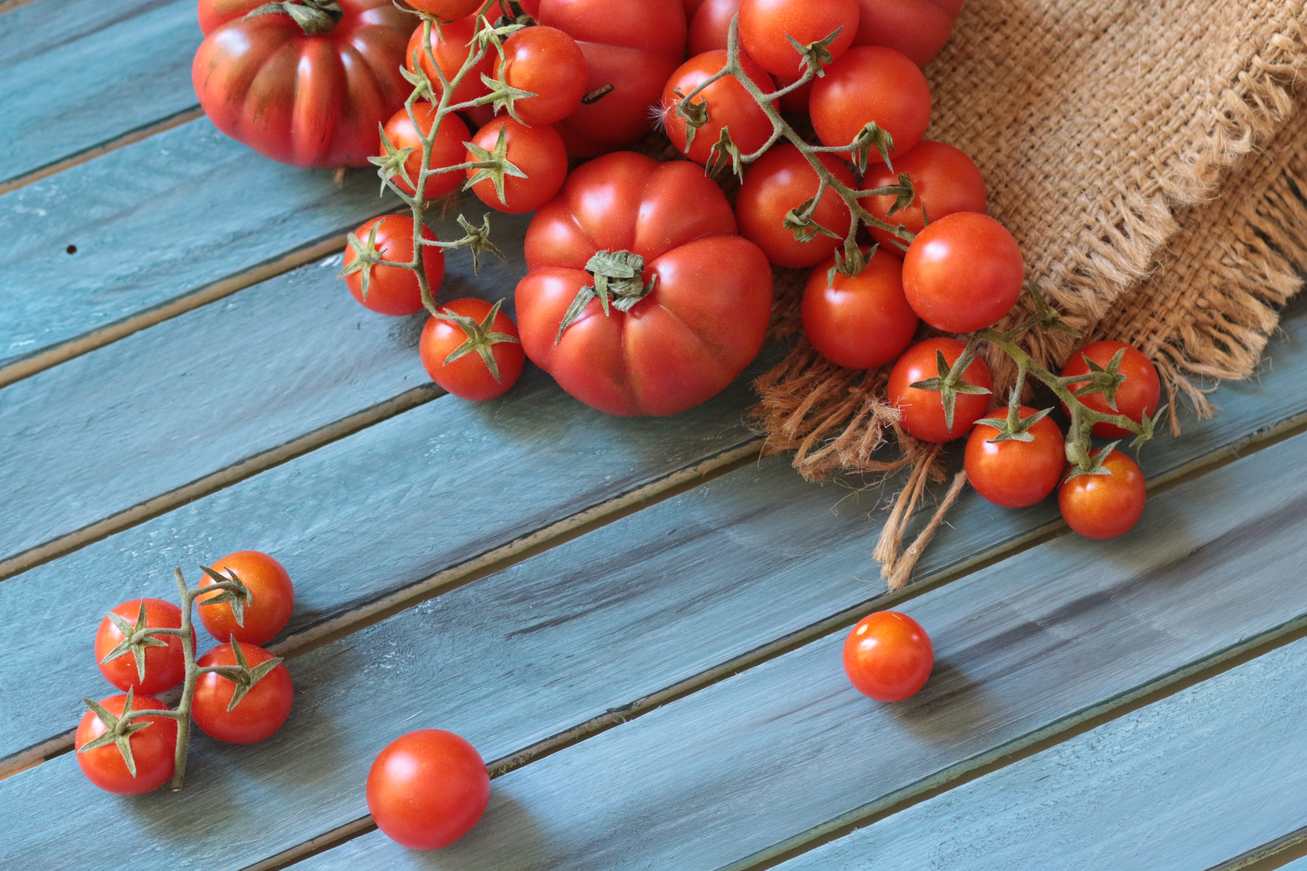 Cassa Depositi e Prestiti per l’agroalimentare Made in Italy