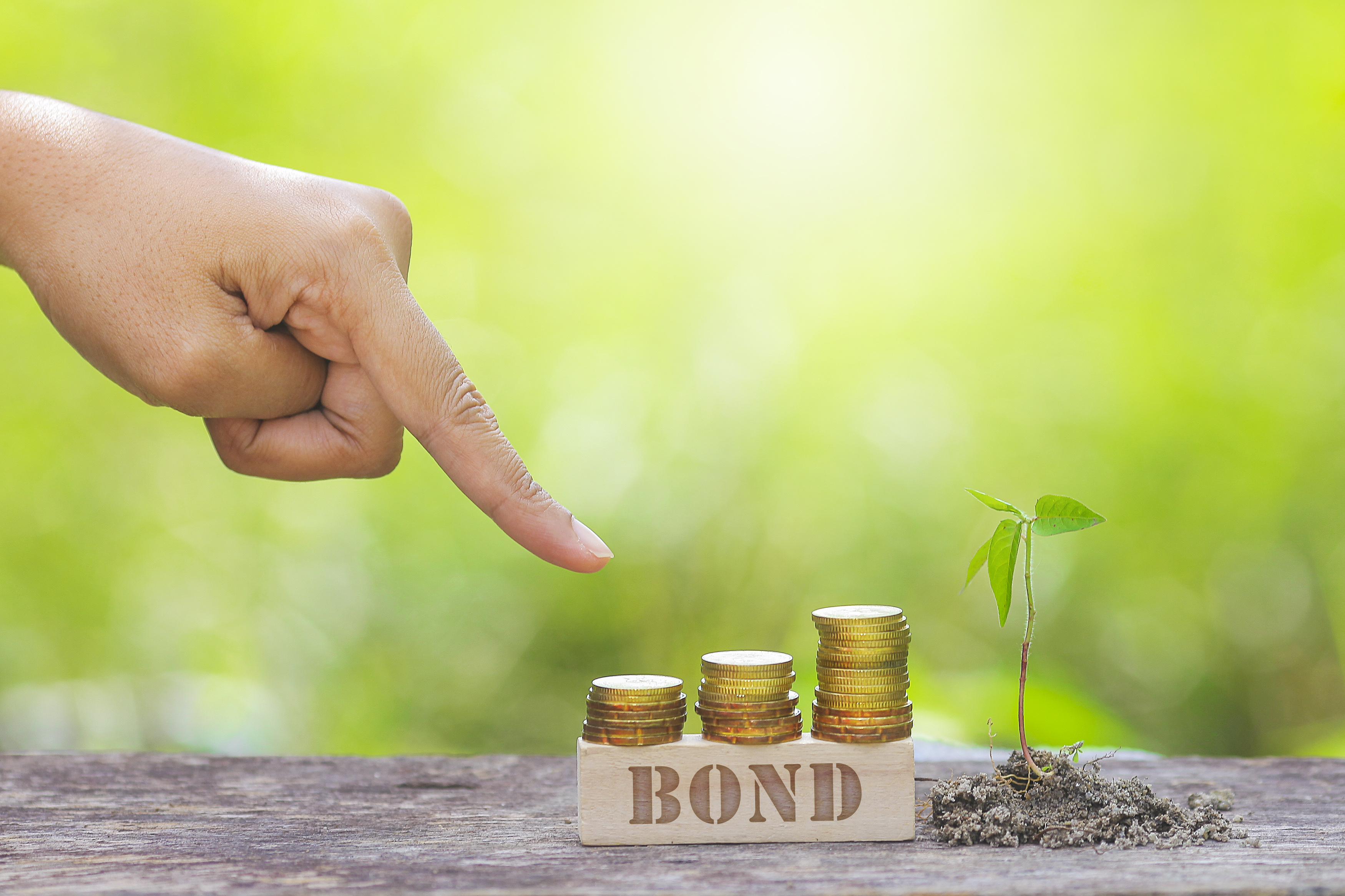 Green Bonds: the Sovereign Issuers' Perspective