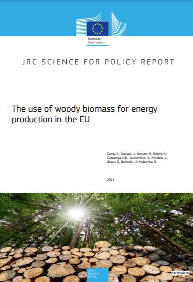 La biomassa legnosa per la produzione di energia nell'UE