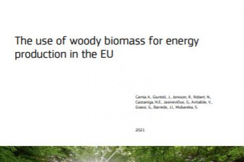 biomassa ue