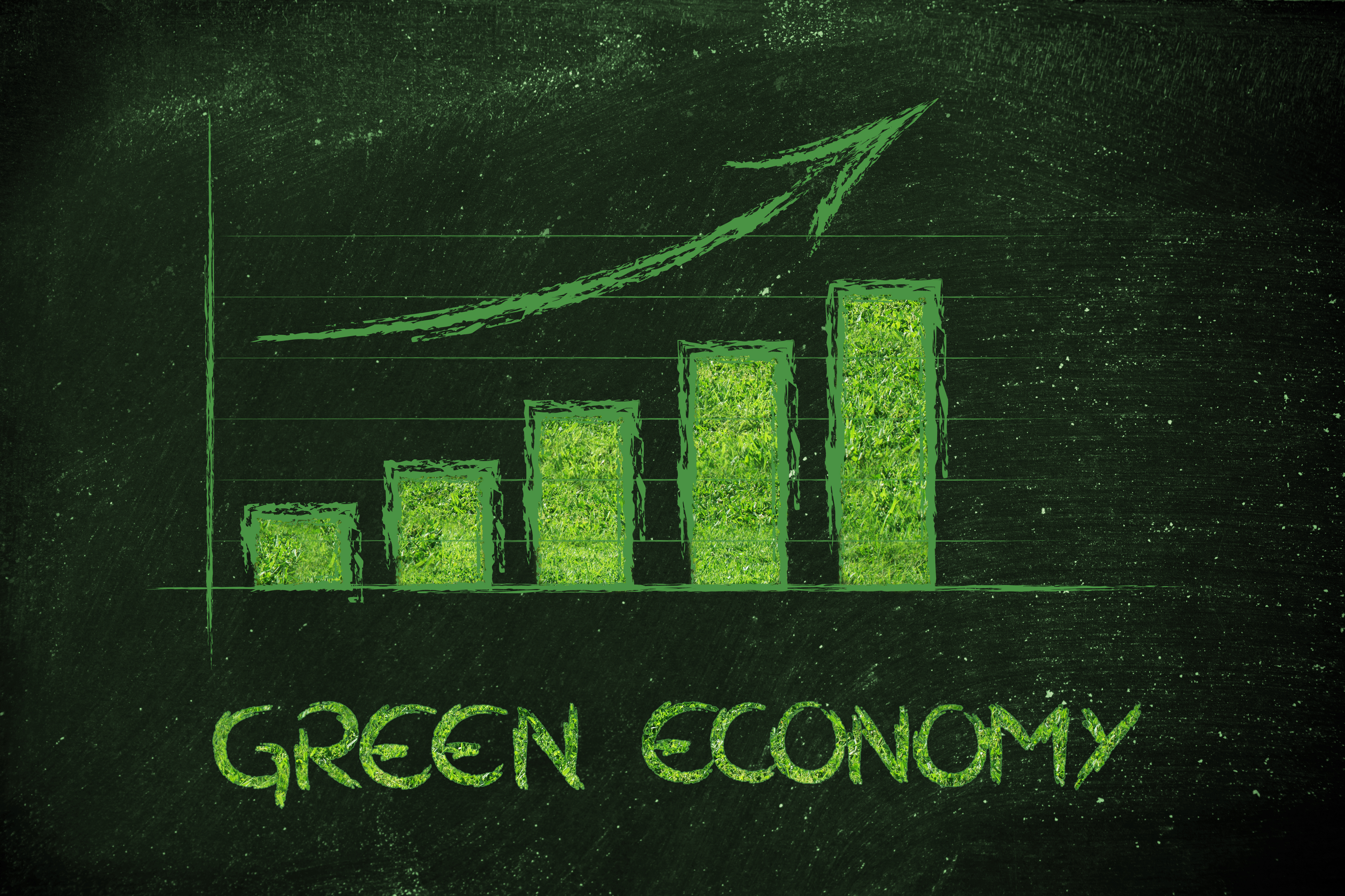 Sace e le Garanzie "Green": l'ingrediente giusto per le PMI