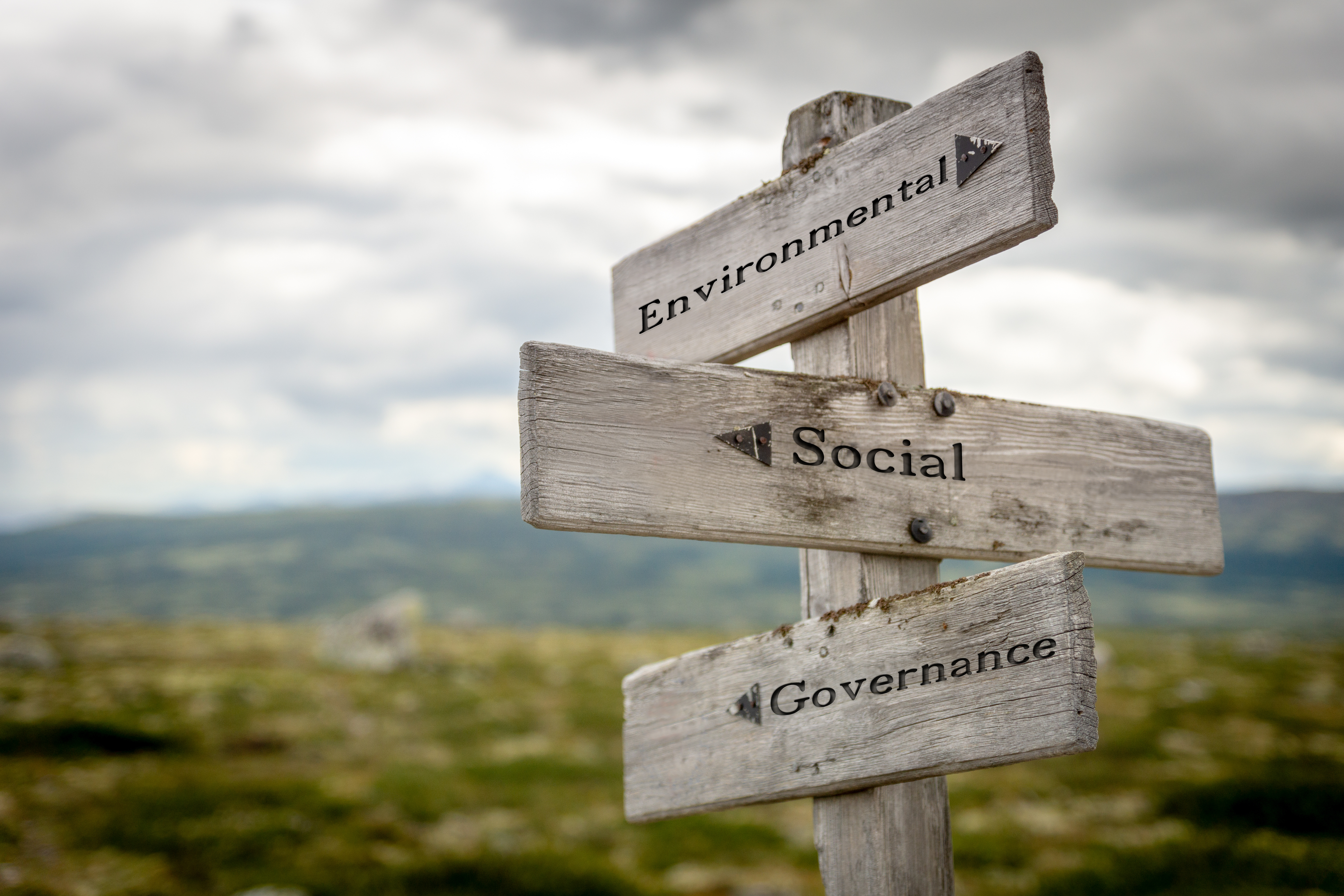 Rapporto sulla Finanza sostenibile e Tassonomia sociale