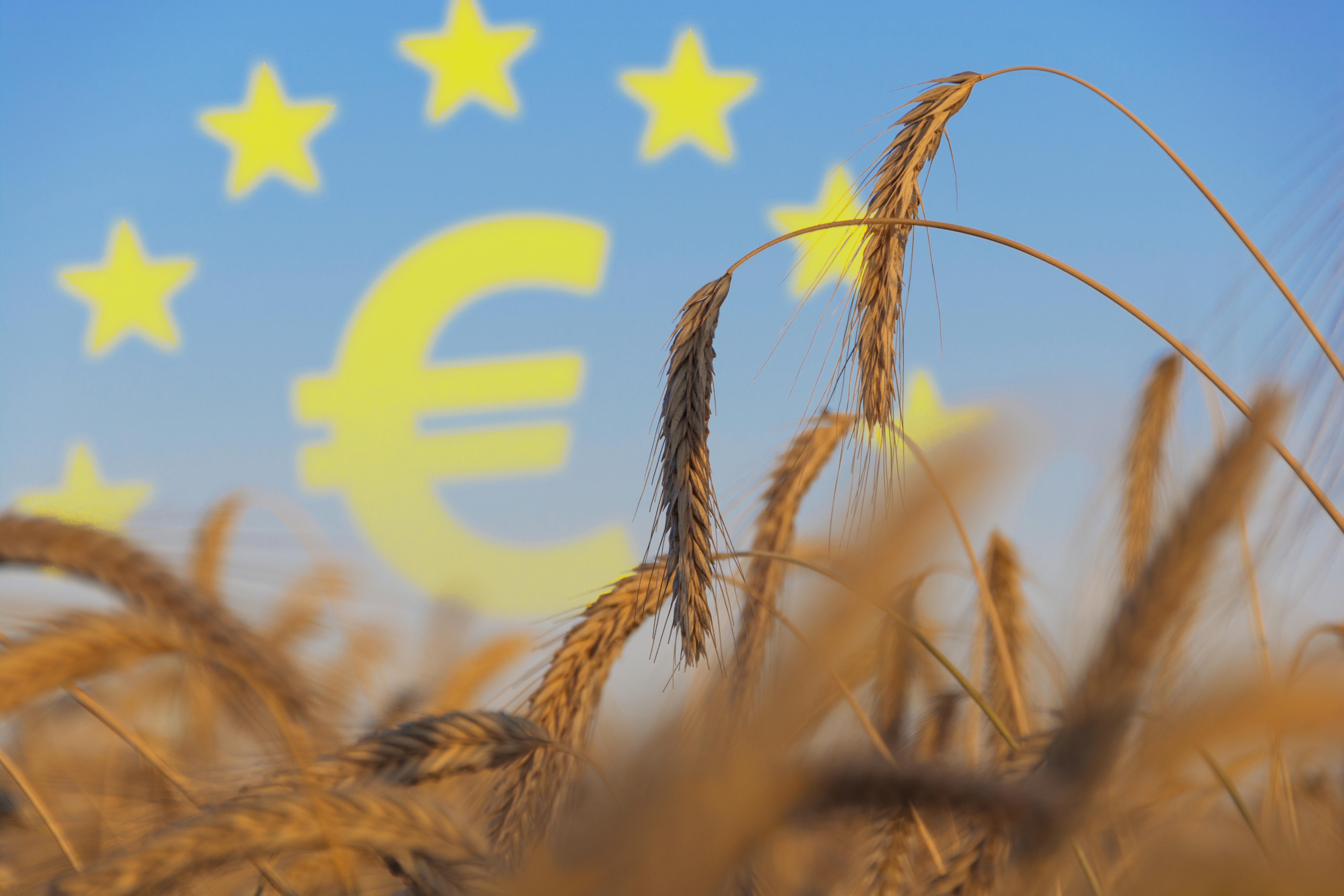 PAC: la Commissione rivede la politica agricola nell'Ue