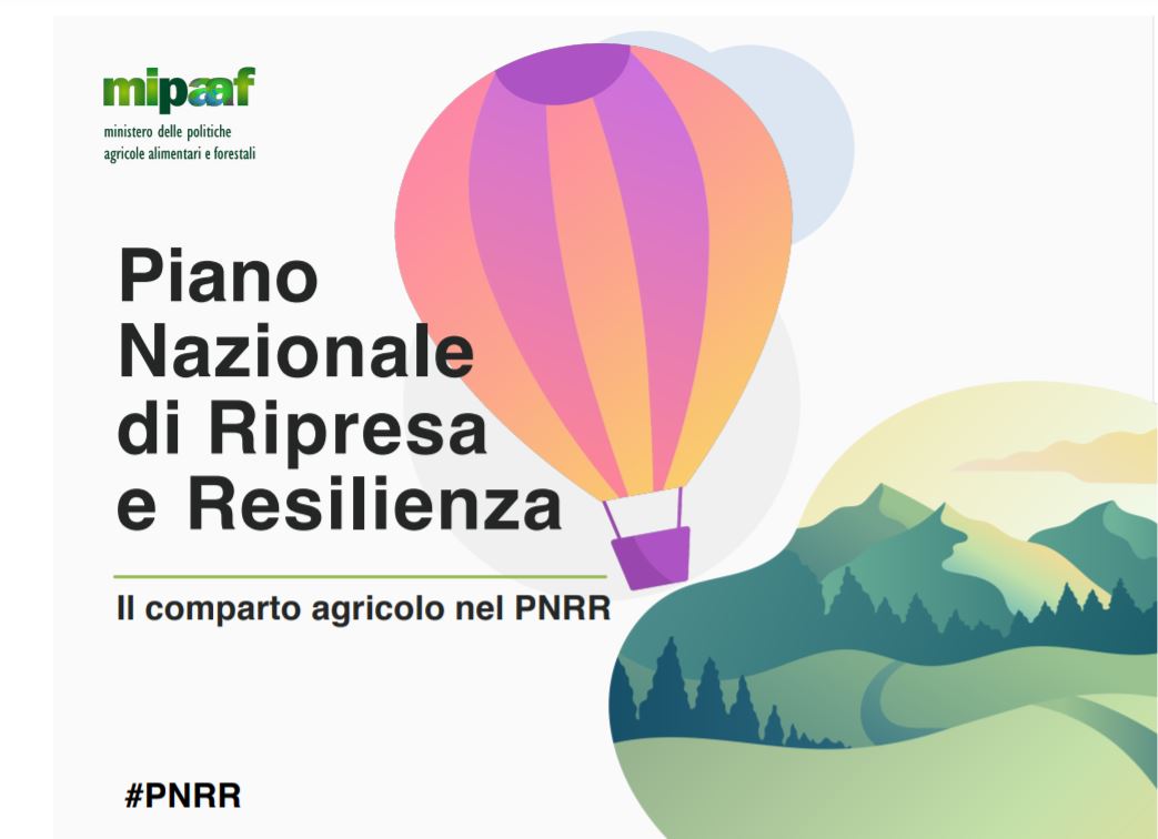 PNRR e settore agricolo: ecco i fondi stanziati dal Mipaaf