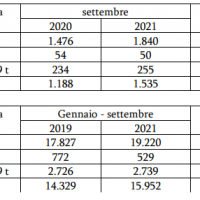 Mercato veicoli industriali_UNRAE_settembre 2021.PNG
