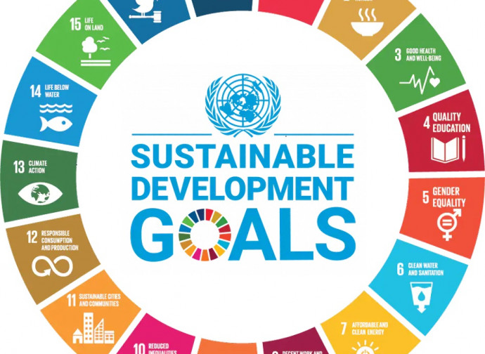 Istat: rapporto sui Sustainable Development Goals (SDGs)